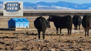 Trent Loos in the Morning - 12/01/2025