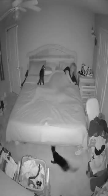 Never consume an energy drink late at night