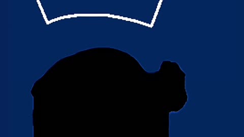 Plakativ sollten wir nicht werden.