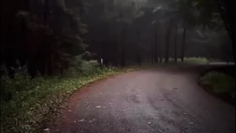 The Pain You Hide
