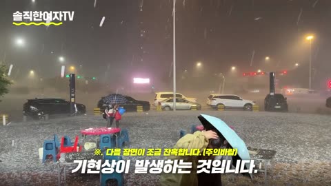 중국반응, 구글코리아에서 노딱 각오하고 올립니다..