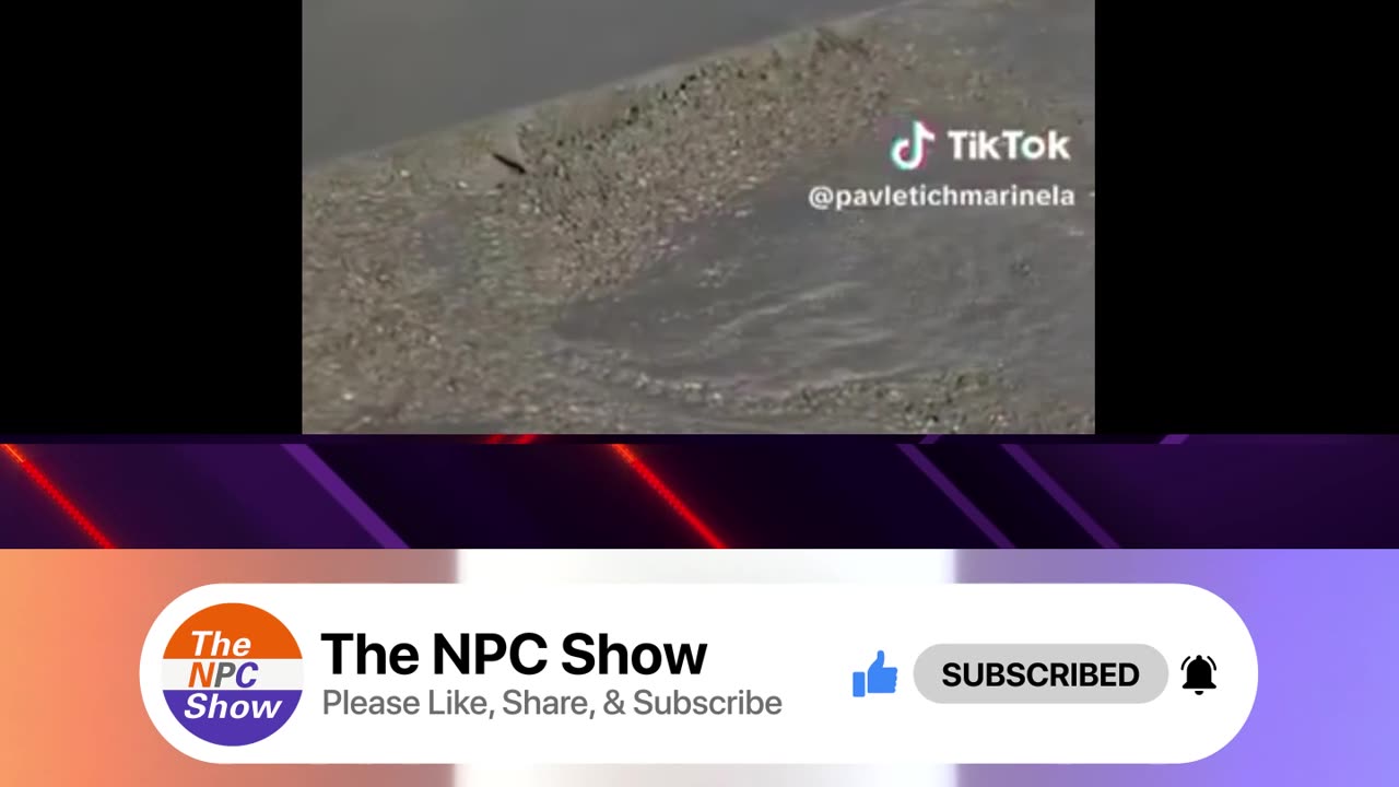 Illegals Nabbed In The MIddle of Pouring Concrete 😲🙎👮