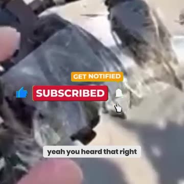 Insane Car Horn Hack: You Won't Believe This Sound Trick!