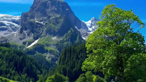 Nature Like This