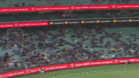 Cricket Moments that Shocked Everyone