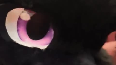 Ddhk