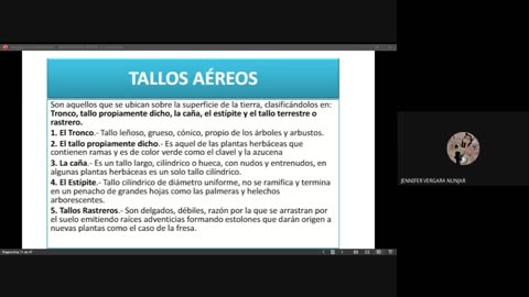 PAMER SEMESTRAL 2023 | Semana 11 | Biología: Reino Vegtetal II