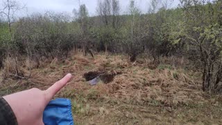 May 15, 2025 - Beaver trapping and fastest catch ever!