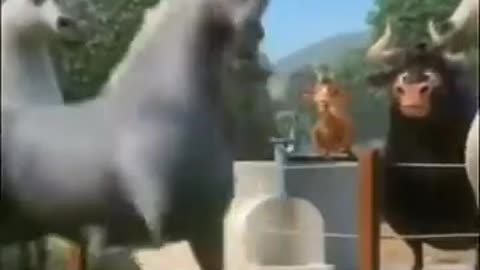 tente não rir kkk maratona de risadas.mp4