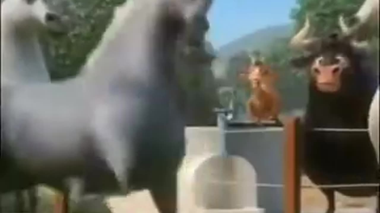 tente não rir kkk maratona de risadas.mp4