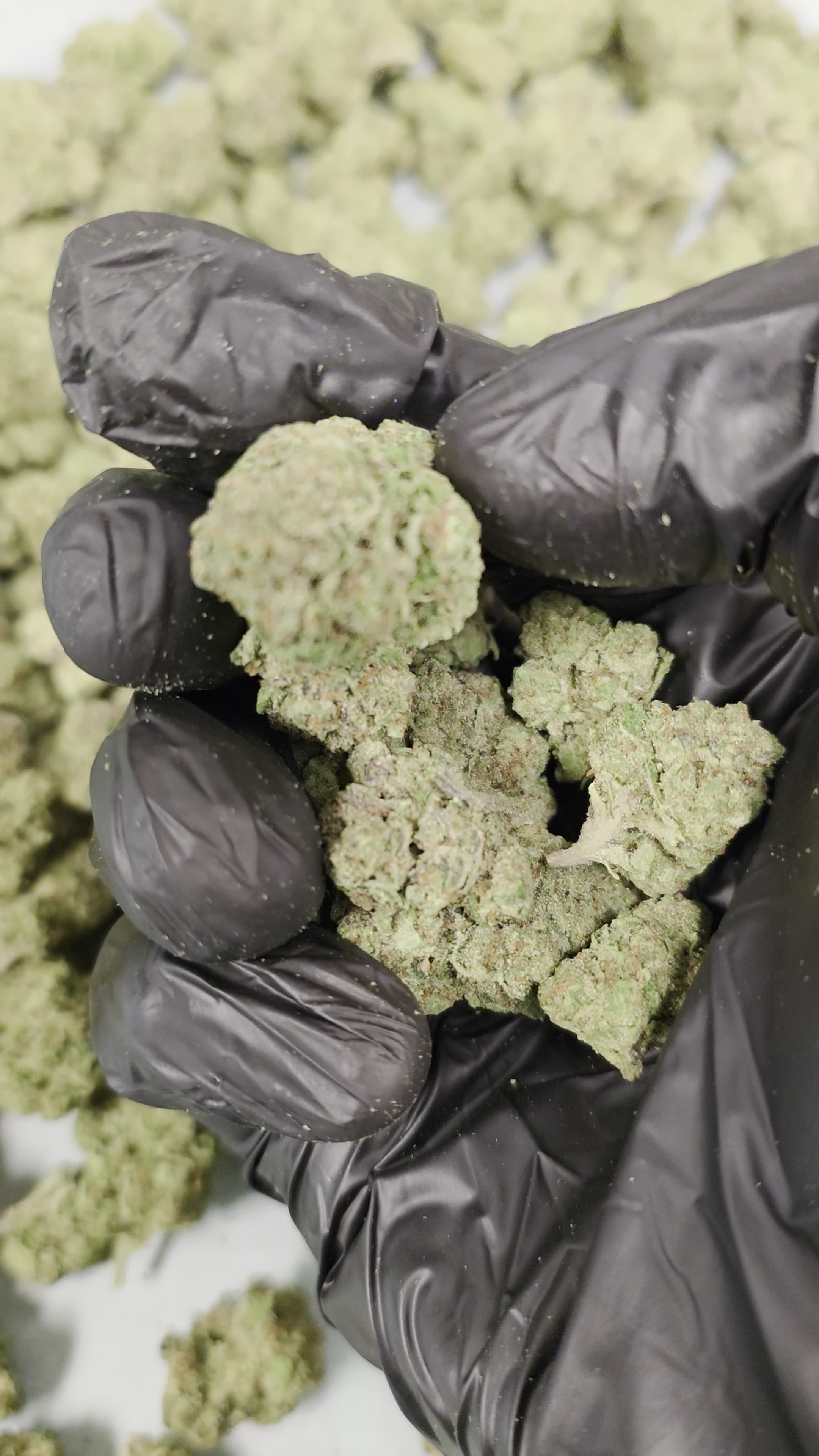 THC-A Flower Cotton Candy