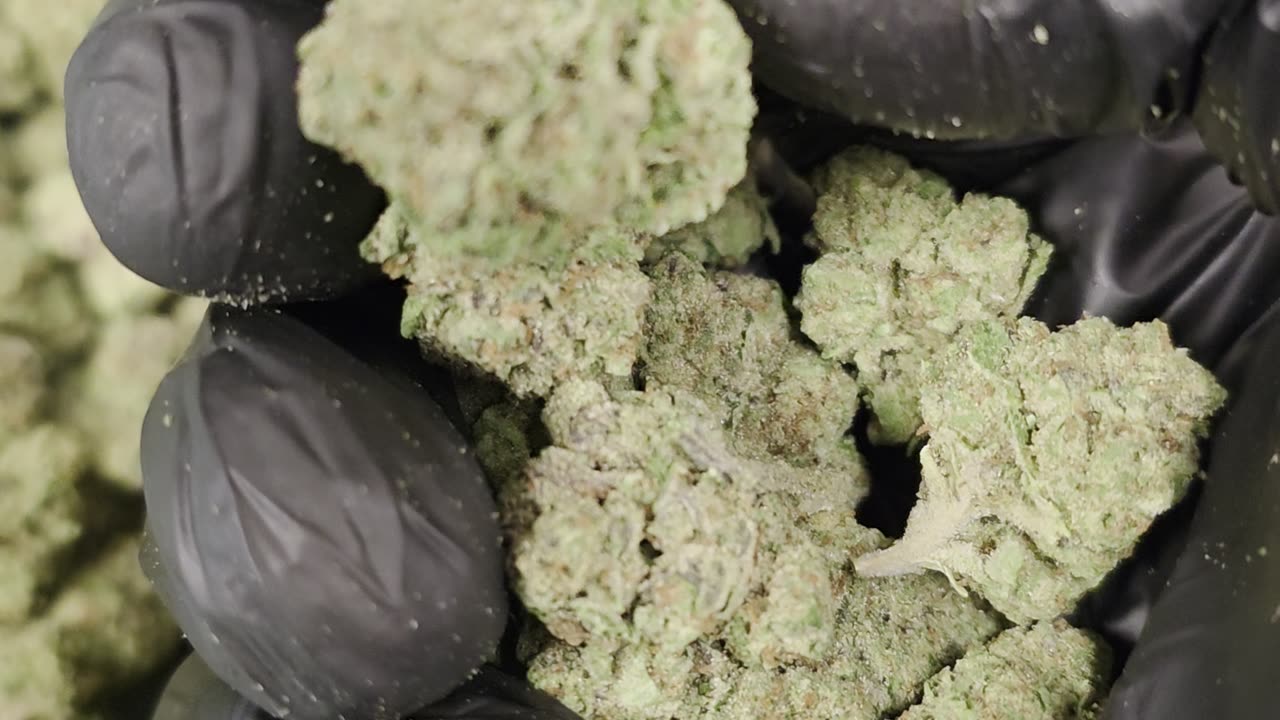 THC-A Flower Cotton Candy