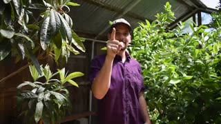 We Found a Lost Food Forest