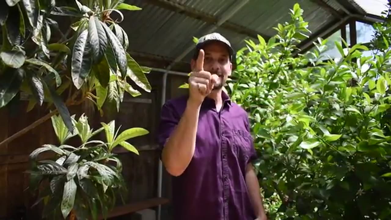 We Found a Lost Food Forest