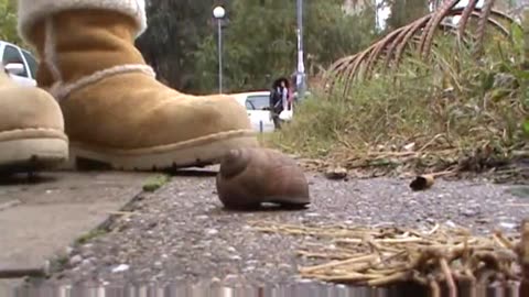 Finishing Off A Snail