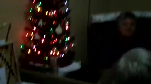 Cute lil Xmas tree at Curtis' place!