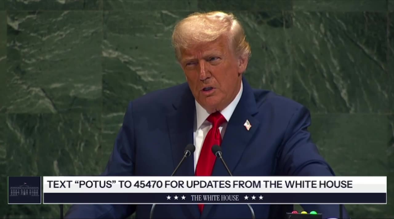 What is the purpose of the United Nations