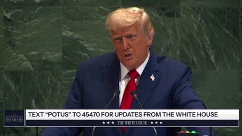 What is the purpose of the United Nations
