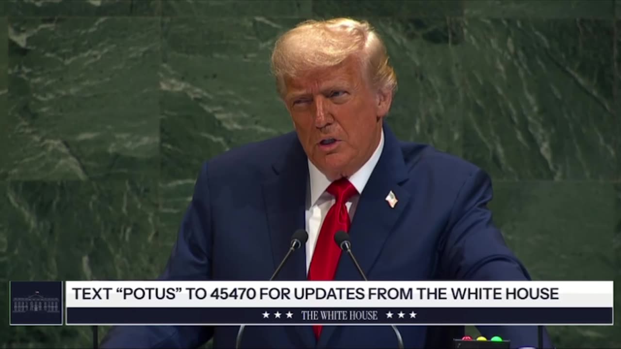 What is the purpose of the United Nations