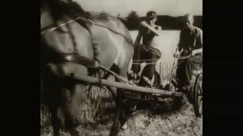 James Baque - Other Losses