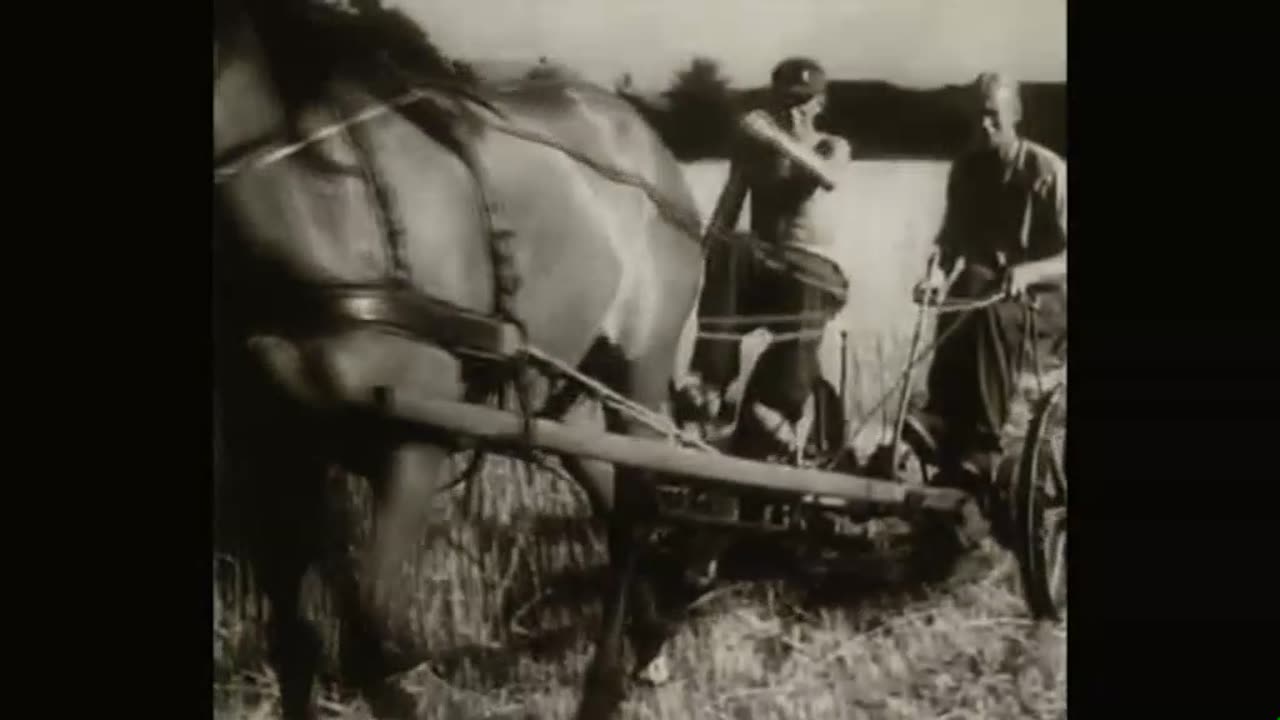 James Baque - Other Losses