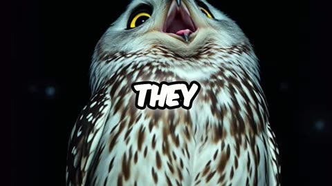 He Can Call Hoot Owls?! You Won't Believe What Happens Next!