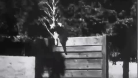 The leader plays with his beautiful dog Blondi