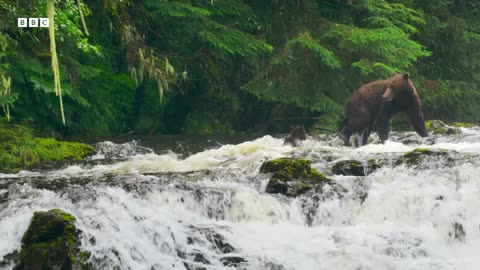 Explore The Secret Areas of Earth Where Nature Remains Untouched