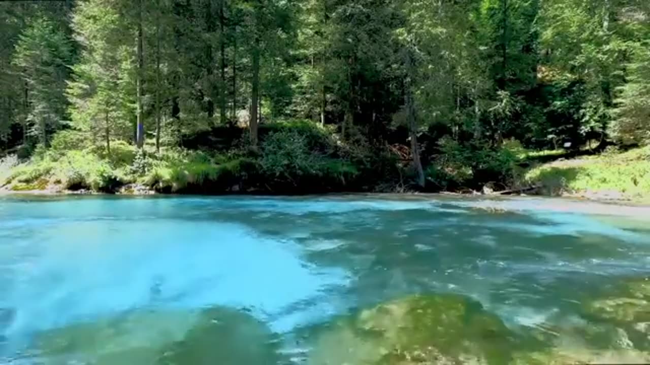 Beautiful nature