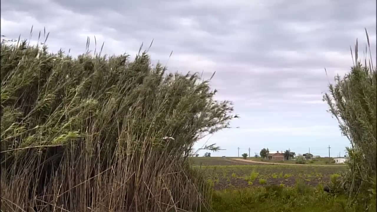 Pepe Mujica - El Pepe, una vida suprema - Lessons from the Flowerbed (full documentary)