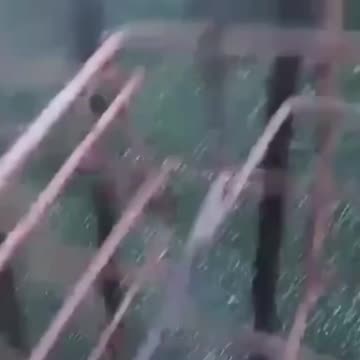 Fake asylum seeker in Italy thinks he's in the jungle so he jumps and climbs on passing cars.