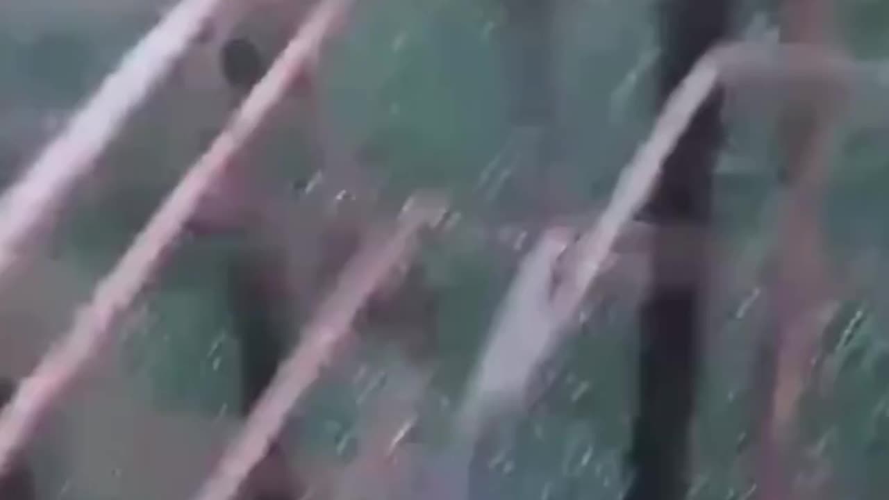 Fake asylum seeker in Italy thinks he's in the jungle so he jumps and climbs on passing cars.