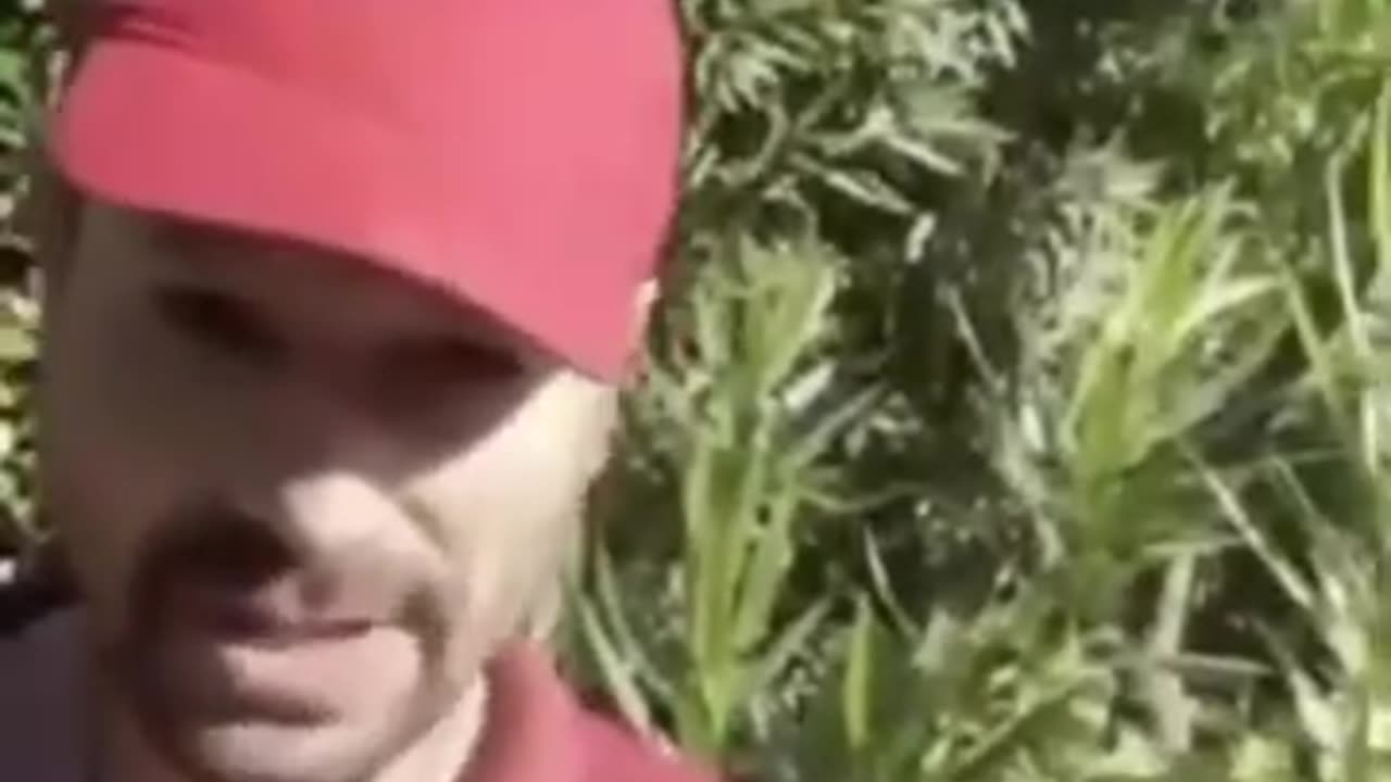 Interview exceptionnelle de David, le pilote de destitution