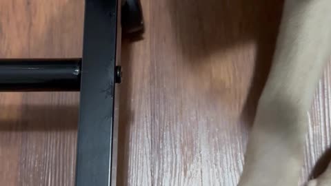 Building a Clothing Rack With Benimaru