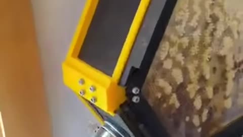 Indoor Behive