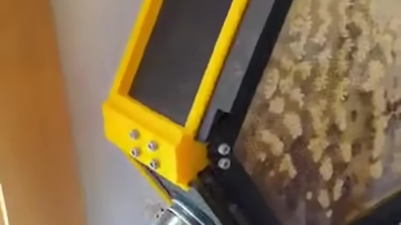 Indoor Behive
