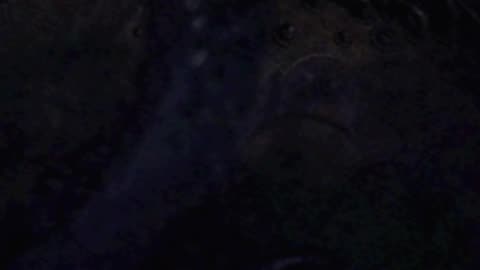 Arx Fatalis - Akba Speaks