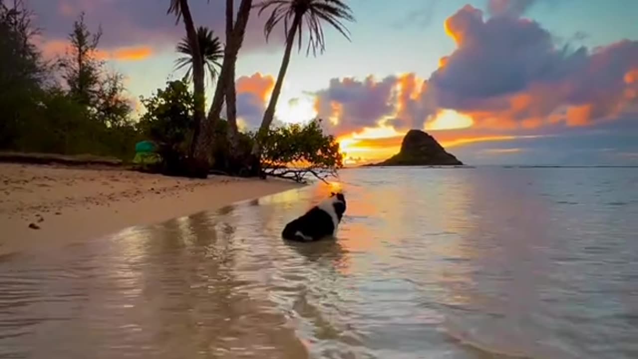 Nature's Beauty