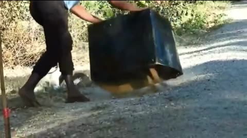 Box paking Dog's funny 🤣 video 🤣 so much for watching this video 📷