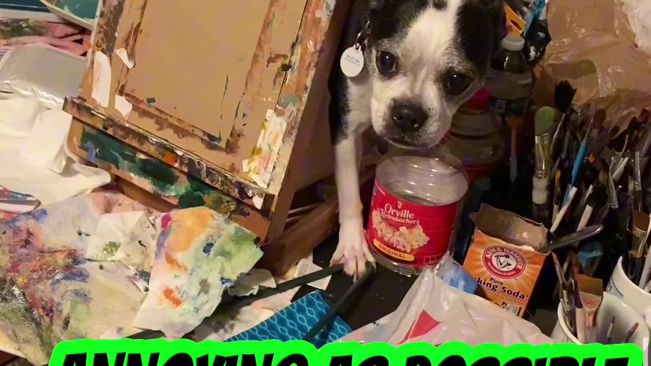 Mischief
