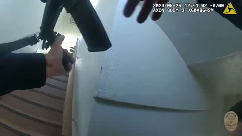 LAPD Shoot Violent Suicidal Man