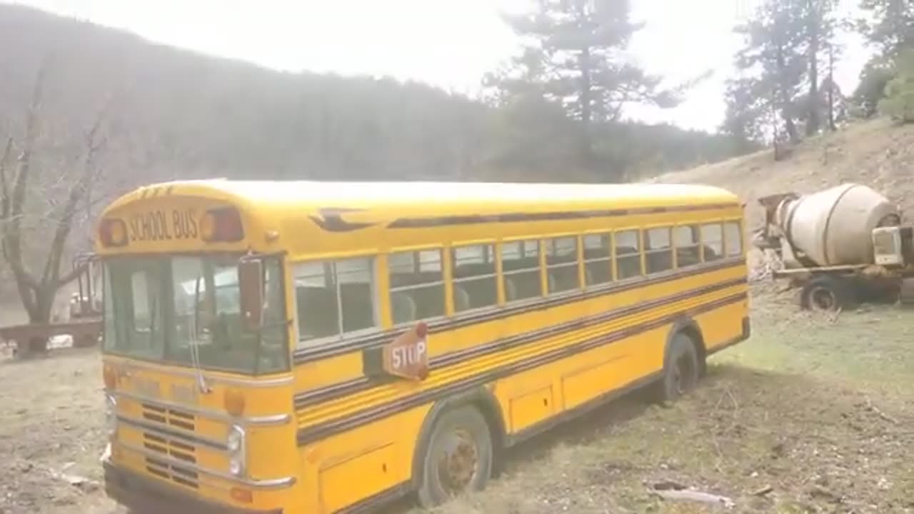 1978 bluebird all American fe