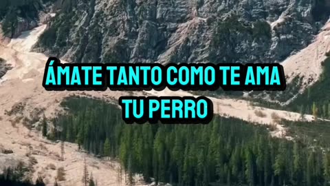 REFLEXIÓN ✨️