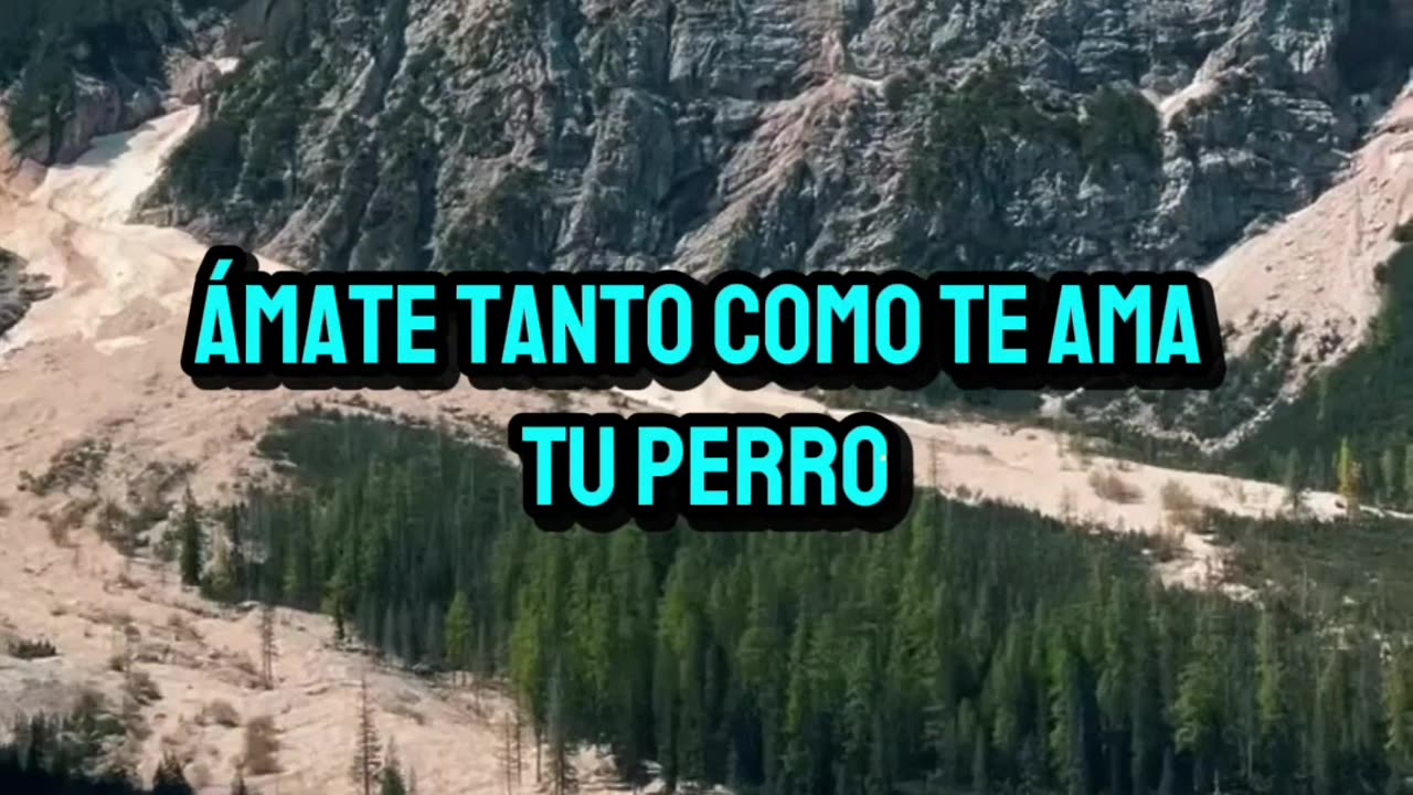 REFLEXIÓN ✨️