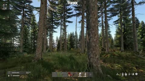 I refuse to play your Chinese food mind games! (DayZ)