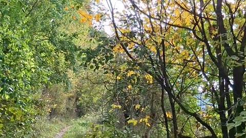 “War is peace. Freedom is slavery. Ignorance is strength.” George Orwell's '1984'