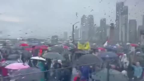 Marches in Sydney