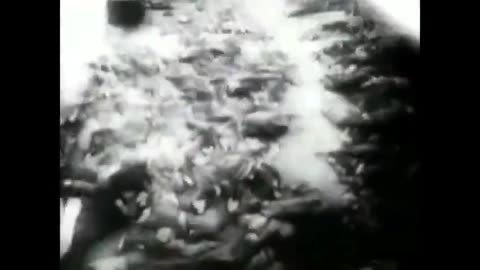 Illuminating The Holocaust - (ALL 4 PARTS)