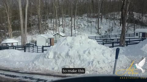 WINTER STORM UPDATE: 30 INCHES of Snow at the Ark