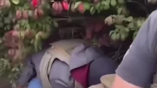 It will be a great day in America when entitled Karens finally realized that DHS